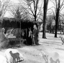The Nativity Scene on the Sammond Pleasant Lodge Yard
